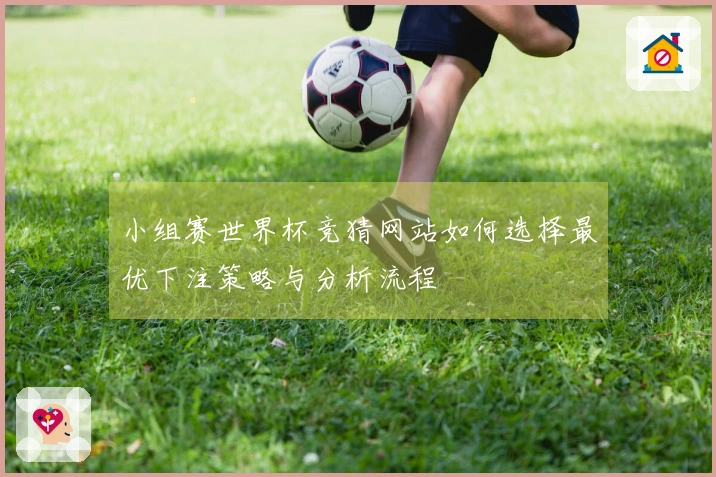 小组赛世界杯竞猜网站如何选择最优下注策略与分析流程