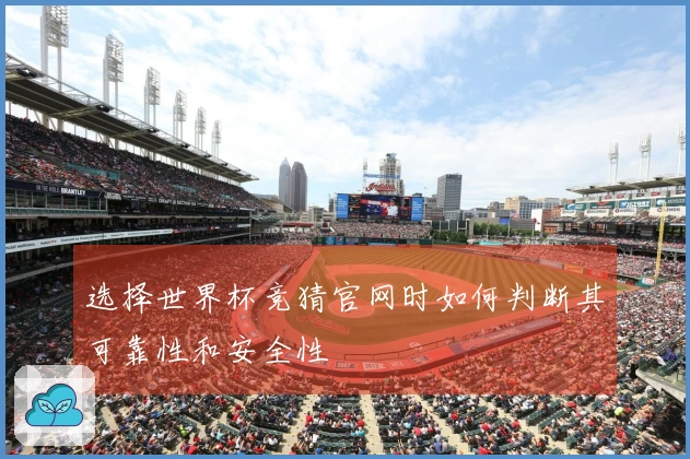 选择世界杯竞猜官网时如何判断其可靠性和安全性
